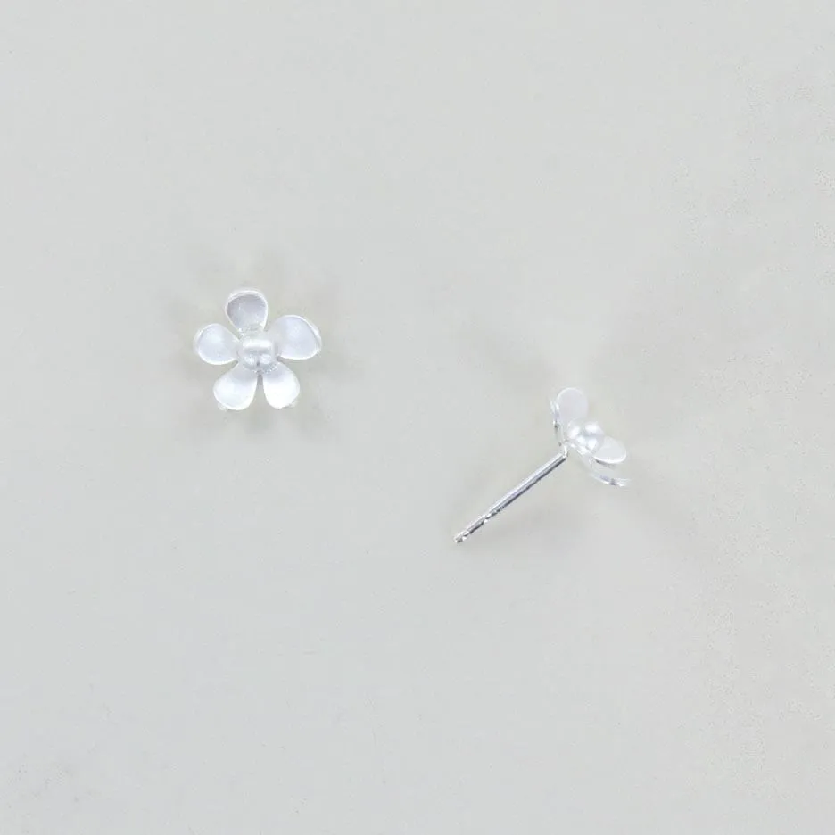 Forget Me Not Medium Posts