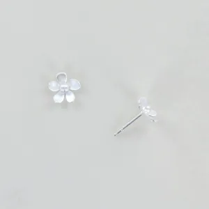 Forget Me Not Medium Posts