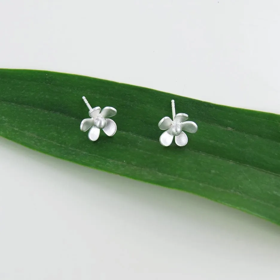 Forget Me Not Medium Posts