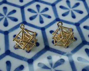Introspection Earrings (Metal)