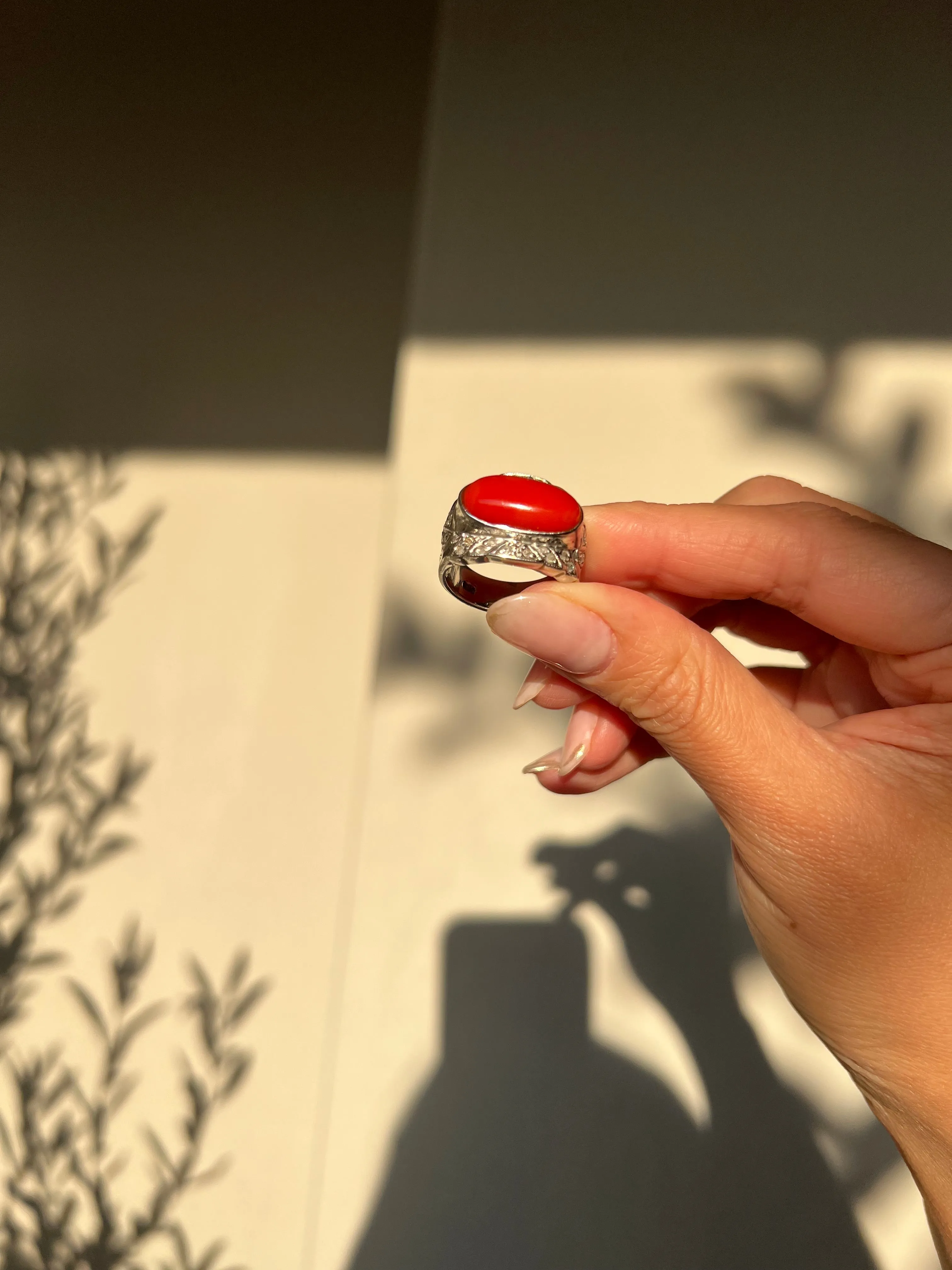 Japanese Red Coral (OX Blood Coral) and Diamond Ring in 18K White Gold