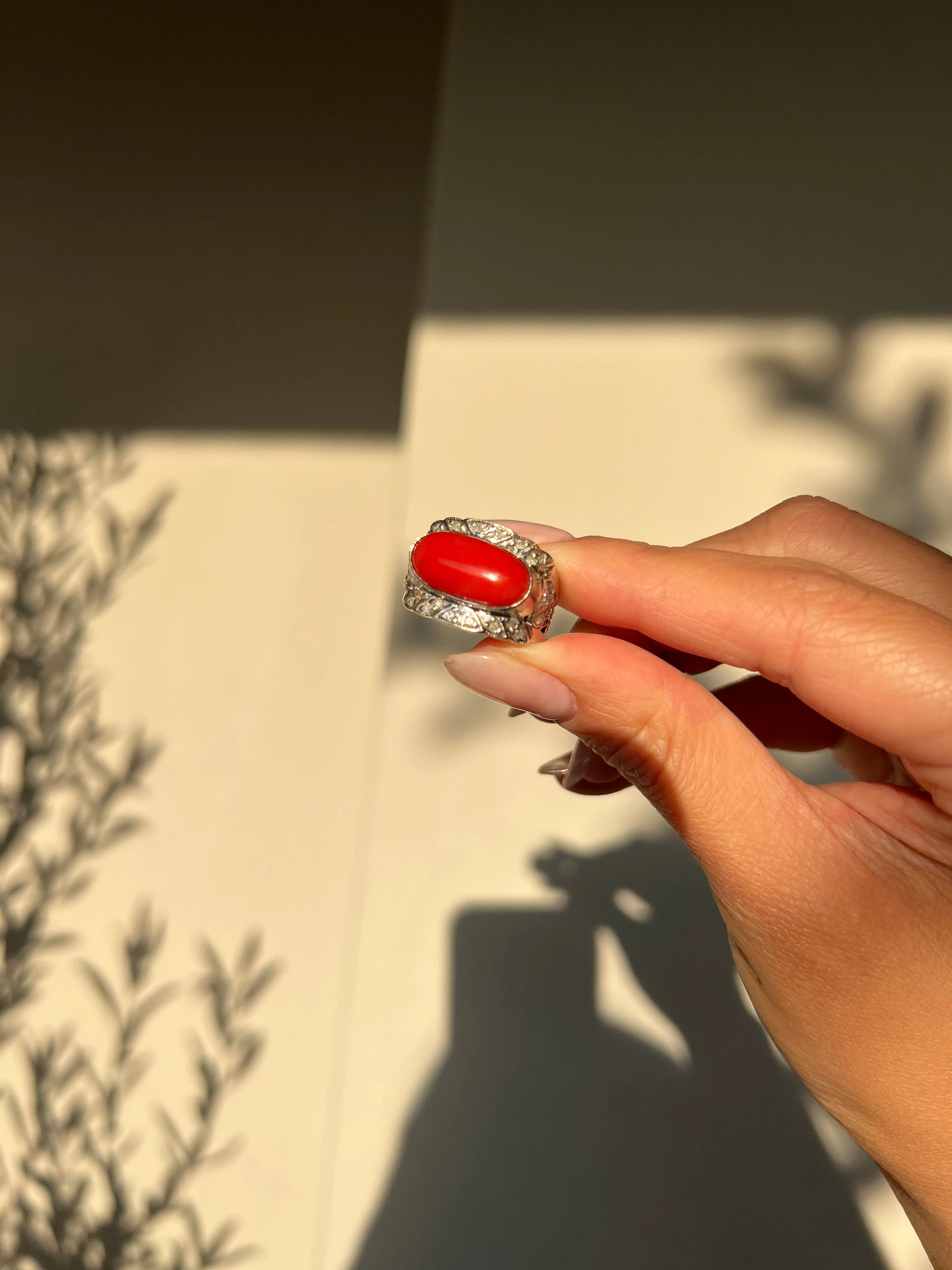 Japanese Red Coral (OX Blood Coral) and Diamond Ring in 18K White Gold