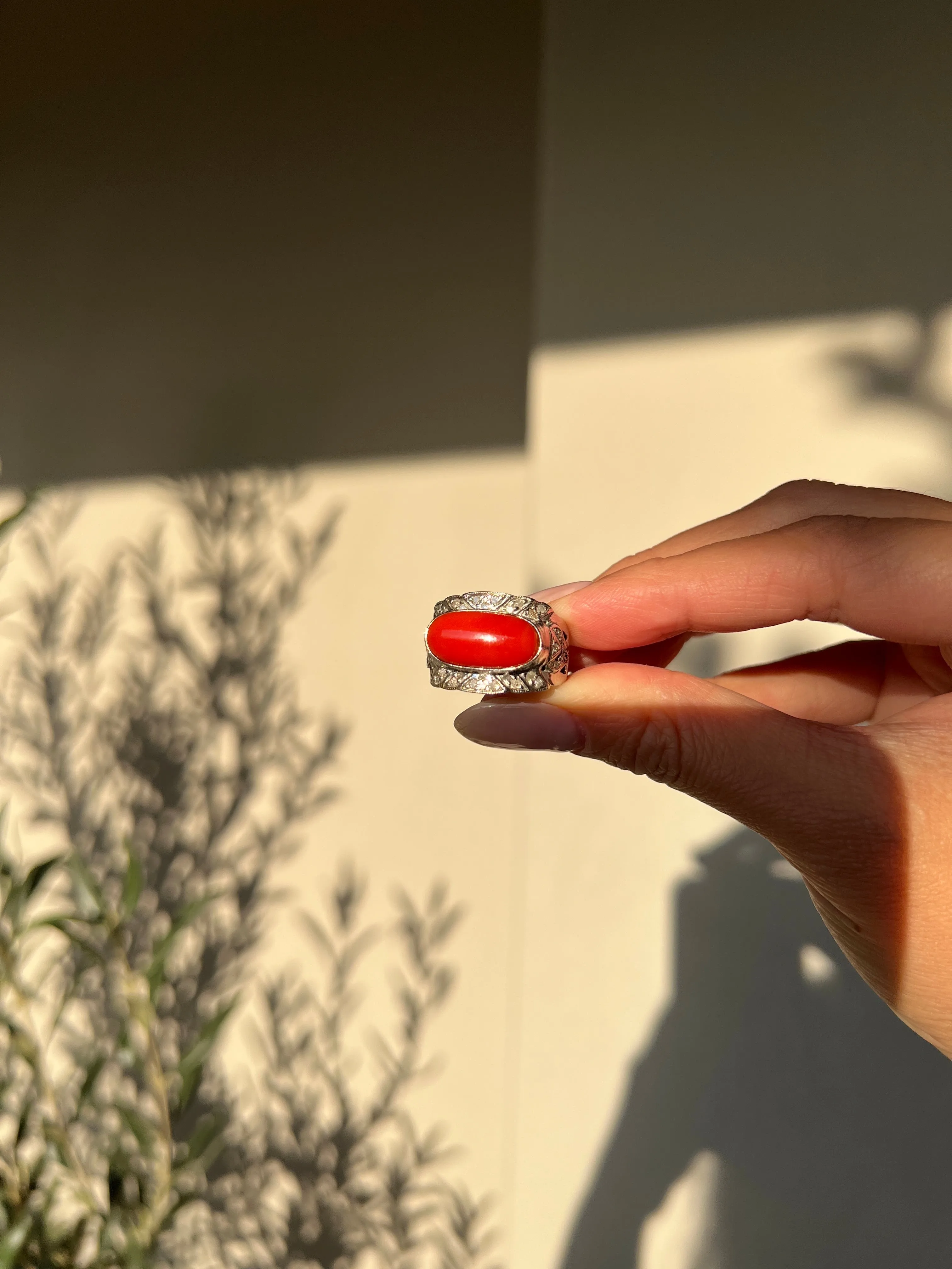 Japanese Red Coral (OX Blood Coral) and Diamond Ring in 18K White Gold