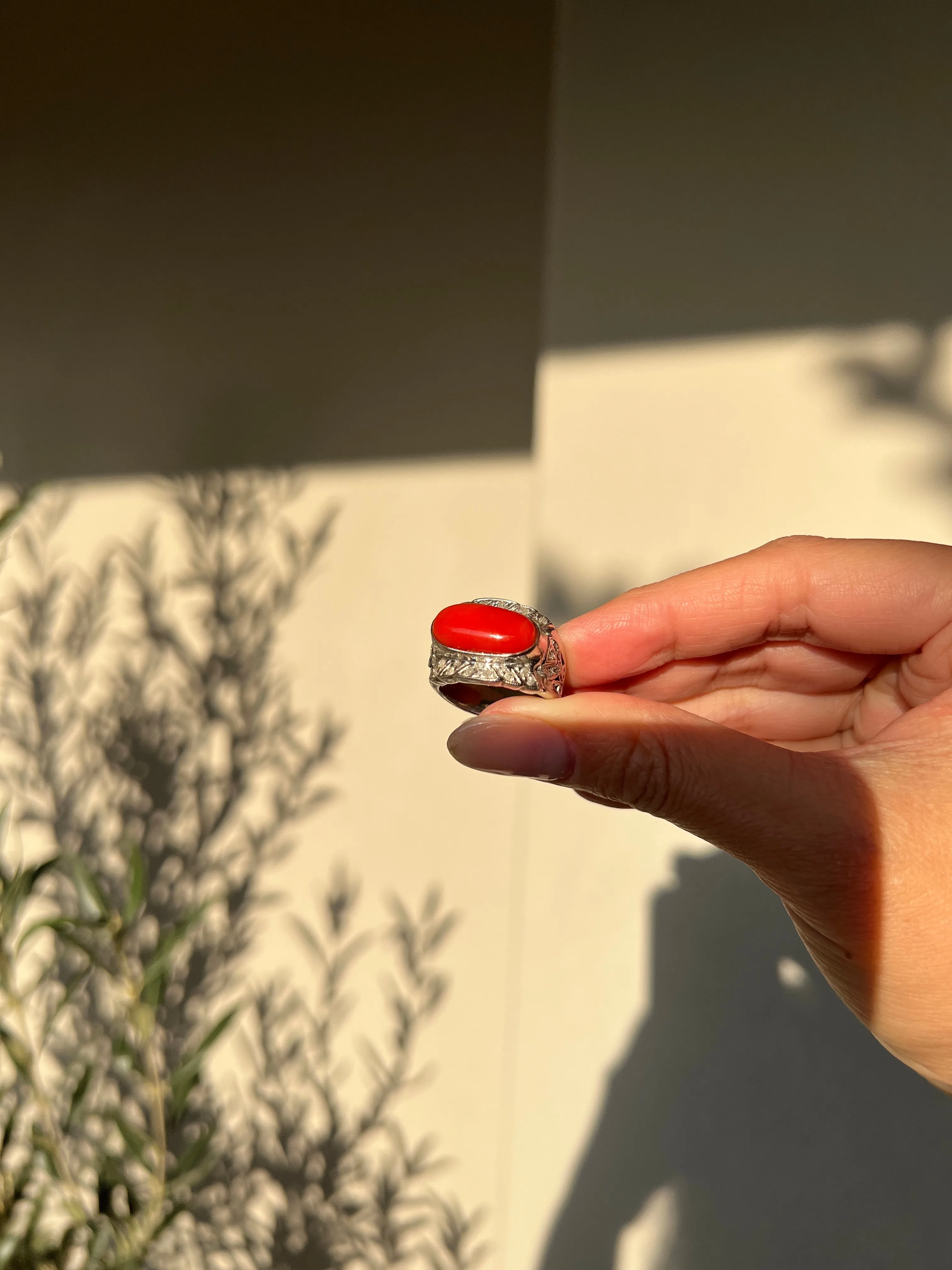 Japanese Red Coral (OX Blood Coral) and Diamond Ring in 18K White Gold