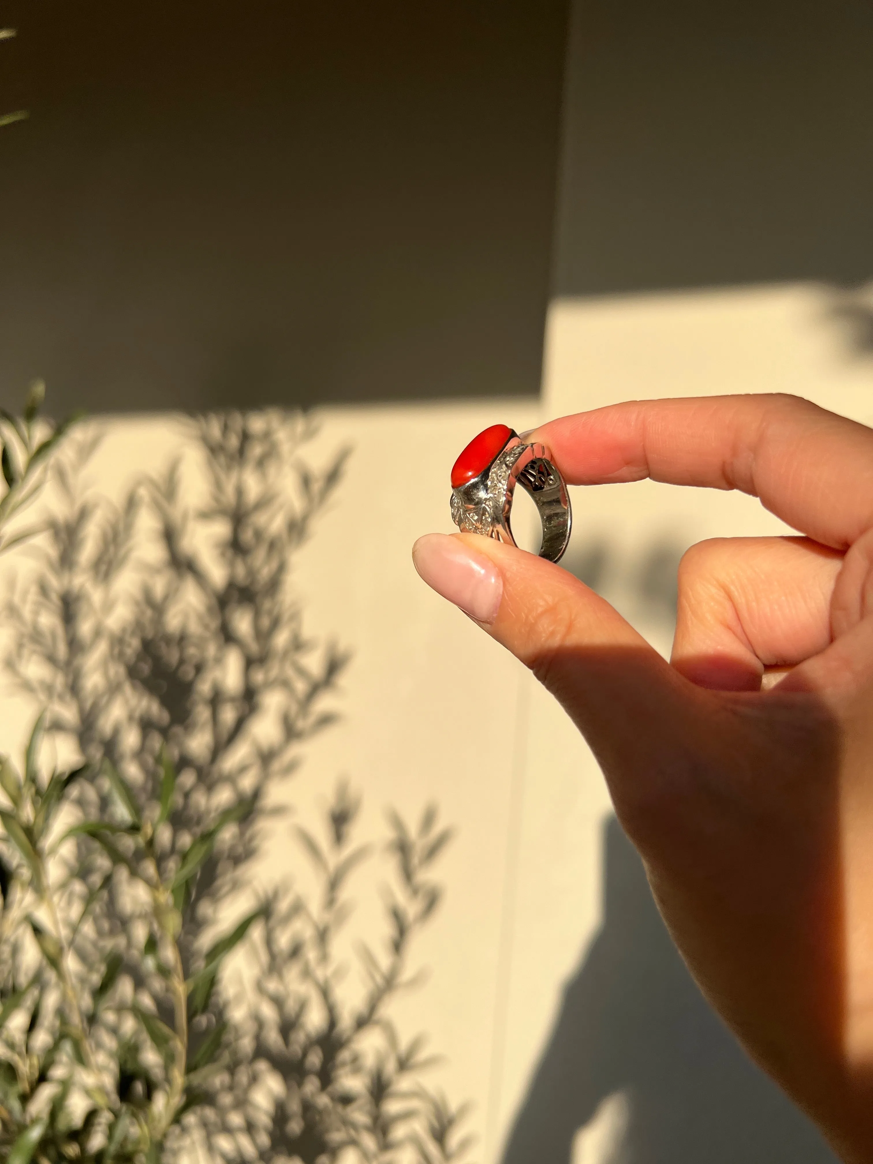 Japanese Red Coral (OX Blood Coral) and Diamond Ring in 18K White Gold