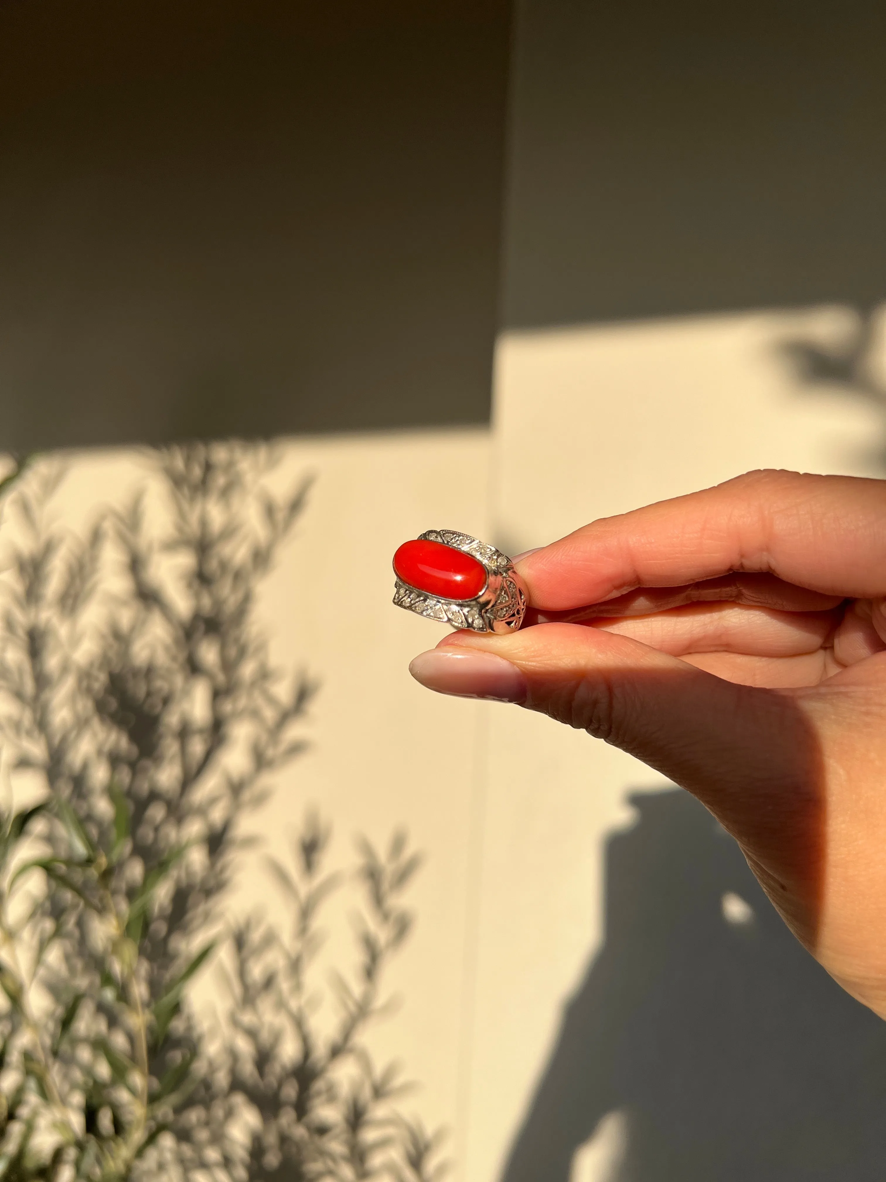 Japanese Red Coral (OX Blood Coral) and Diamond Ring in 18K White Gold